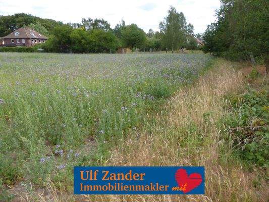 Baugrundstück in Suderburg, Bahnhofstr.