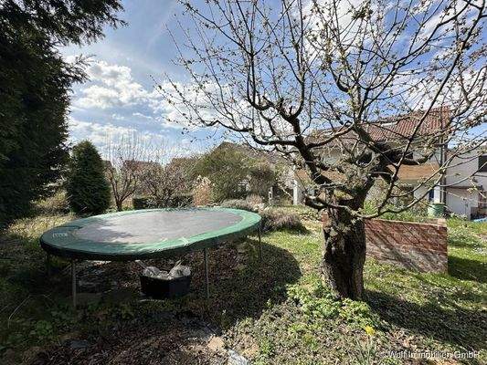 Garten Detailansicht