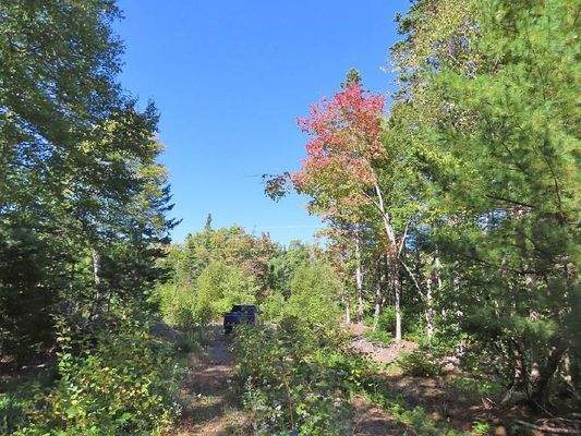 Cape Breton - Bras d`Or Lake - Tolles See-Ufergrun