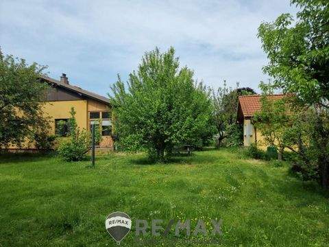 Velm Häuser, Velm Haus kaufen