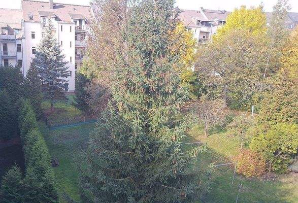 WhatsApp Image 2025-10-18 at 13.52.29 (2).jpeg