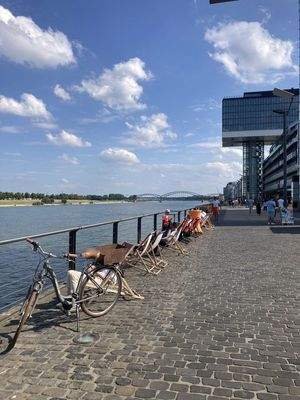 Blick auf den Rhein, in der Nä