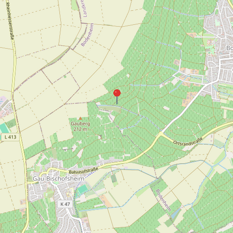 Bodenheim Bauernhöfe, Landwirtschaft, Bodenheim Forstwirtschaft