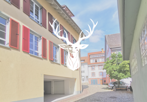 Waldshut-Tiengen Wohnungen, Waldshut-Tiengen Wohnung mieten