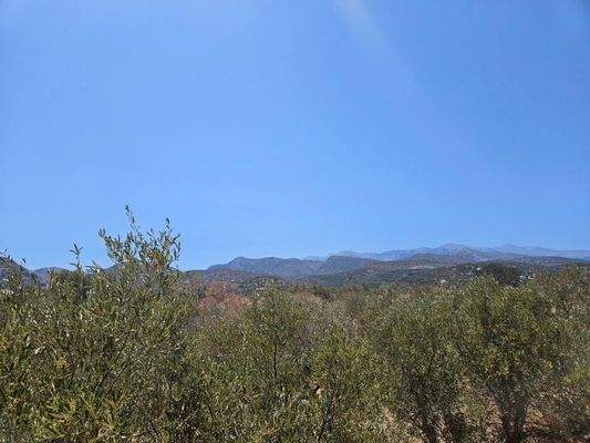 Kreta, Milatos: Anwesen mit vielen Möglichkeiten - nahe am Meer - zu verkaufen