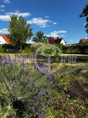 Grundstück / Garten