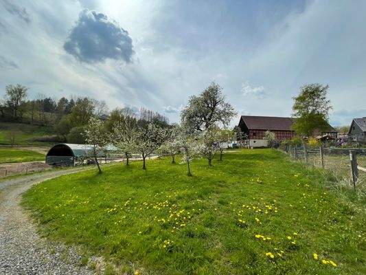 Wiese hinter dem Anwesen