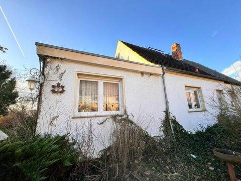 Oschersleben (Bode) - Alikendorf Häuser, Oschersleben (Bode) - Alikendorf Haus kaufen