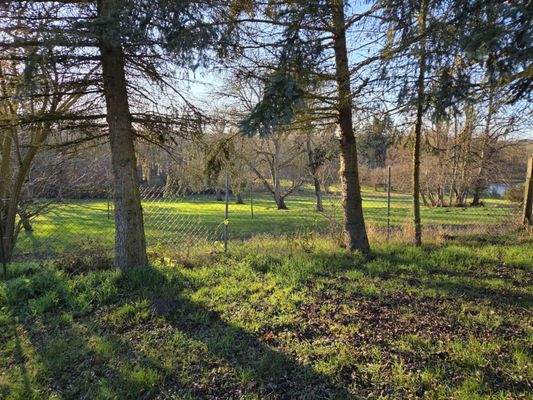 Blick vom hinteren Grundstück