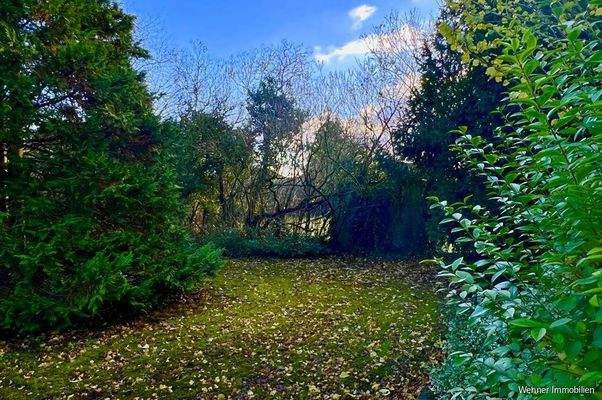 hinterer Teil des Gartens