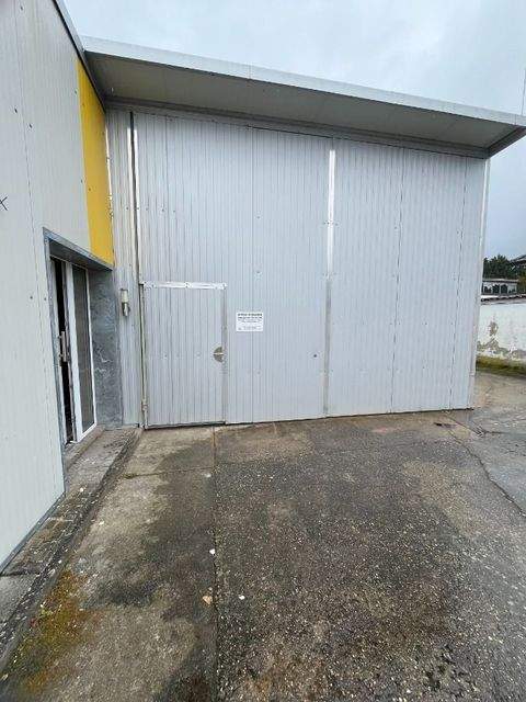 Haßloch Halle, Haßloch Hallenfläche