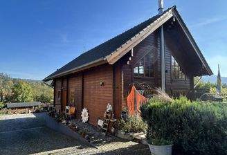 Bild1