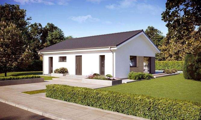 DAN-WOOD Perfect 86 Zugang