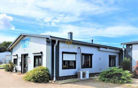 Edewecht Halle, Edewecht Hallenfläche