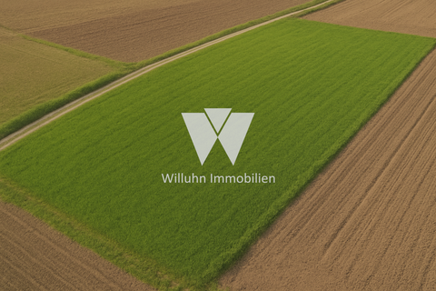 Wiedemar Bauernhöfe, Landwirtschaft, Wiedemar Forstwirtschaft