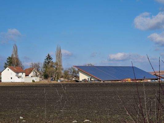 Ökologische Umgebung