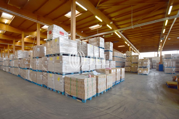 Innenansicht der Hallenfläche