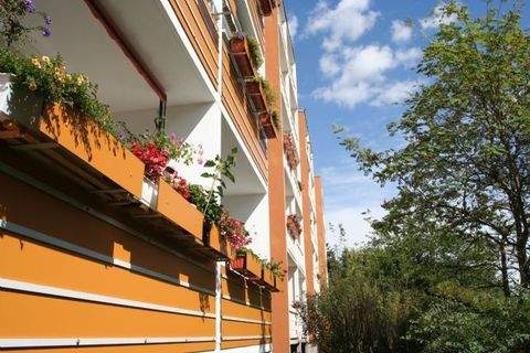 Hohenstein-Ernstthal Wohnungen, Hohenstein-Ernstthal Wohnung mieten