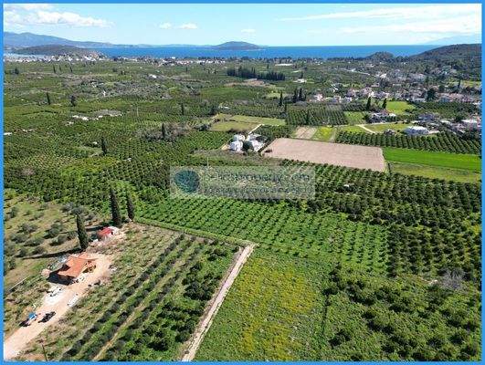 05c911368a074c6b89b693e9287aa6ae-original