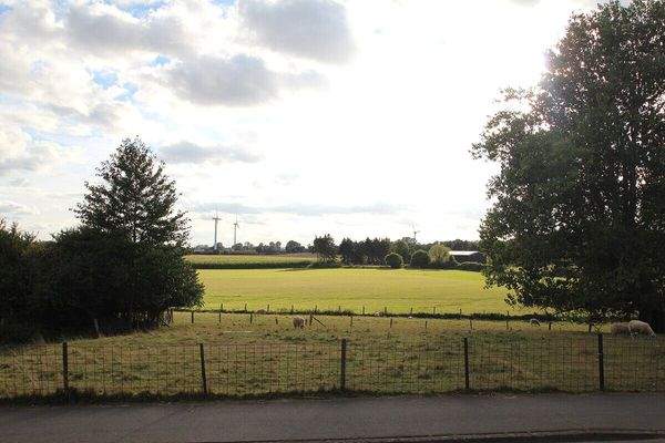 herrlicher Blick in die Feldmark vom Wohnzimmer EG