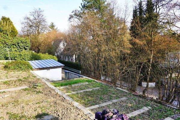 Grüner Daumen gesucht