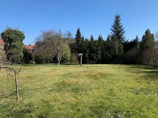 großzügiger Garten