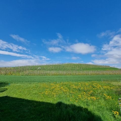 Büsingen am Hochrhein Grundstücke, Büsingen am Hochrhein Grundstück kaufen