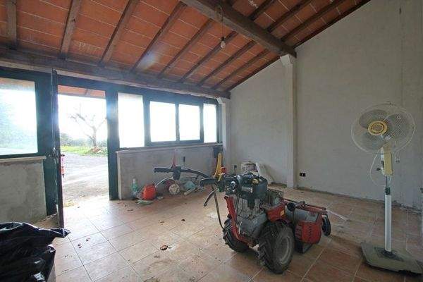 IMG_3517 (Kopie).JPG