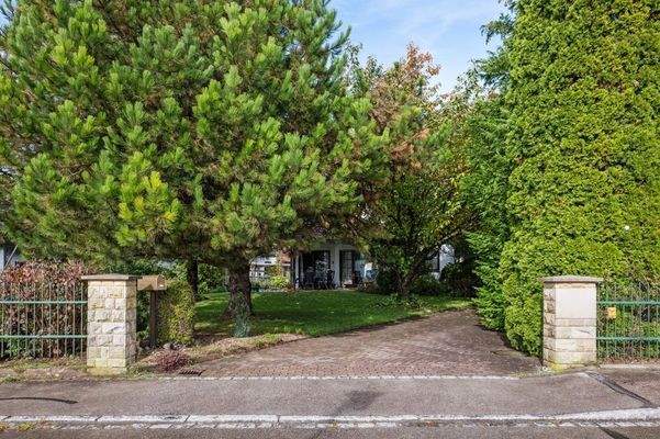 Eingewachsenes Grundstück mit Zufahrt