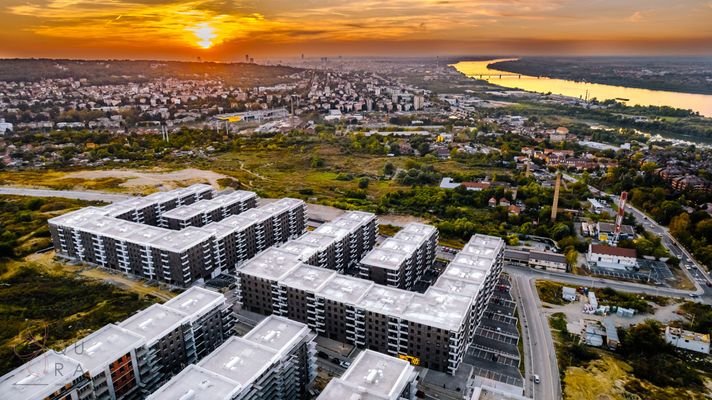 Image_Alex_Dmitrovic_0016
