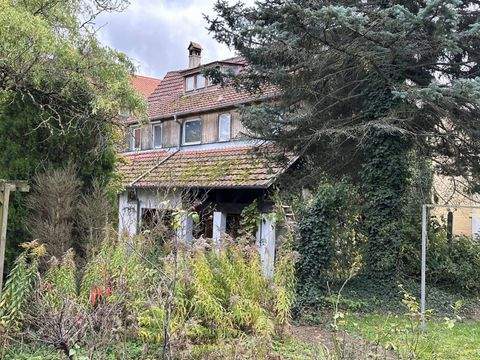 Ofterdingen Häuser, Ofterdingen Haus kaufen