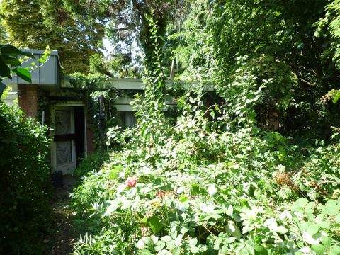 Lingen (Ems) Häuser, Lingen (Ems) Haus kaufen