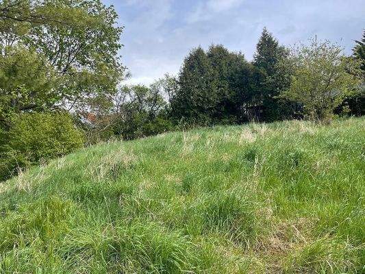 LH121 - Vorschau Grundstück