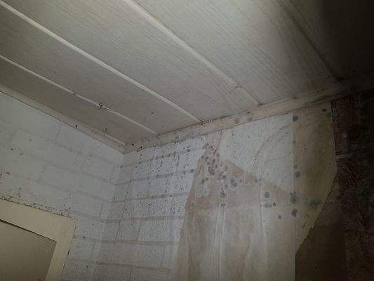 EG-Flur-Wasserschaden