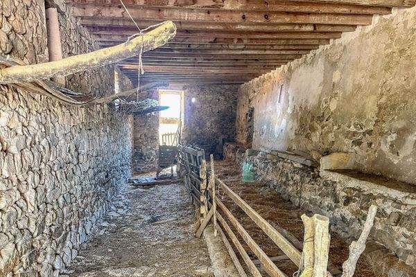 und mehrere Tierställe