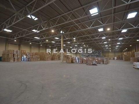 Hamburg Halle, Hamburg Hallenfläche