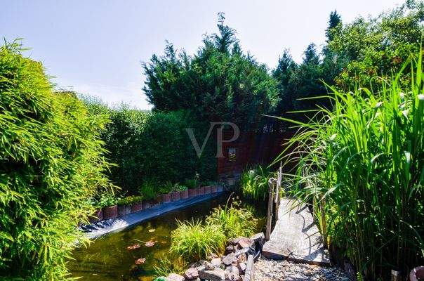 Garten mit Teich