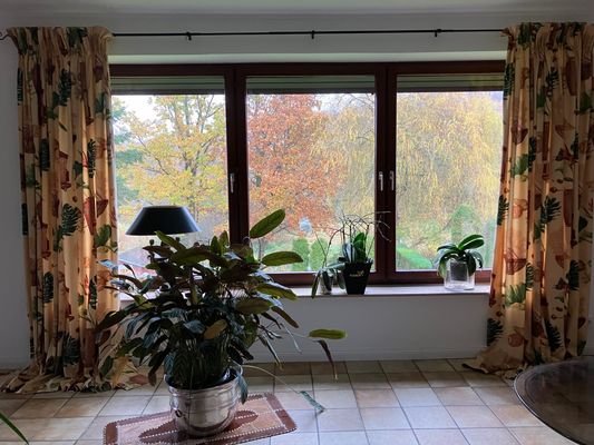 Fenster Wohnzimmer