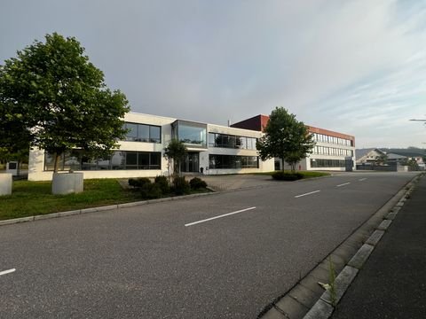 Regensburg Halle, Regensburg Hallenfläche