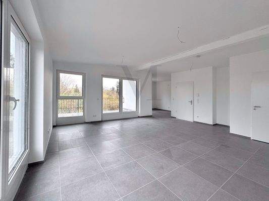 Zugang Süd-West-Dachterrasse mit Flügeltür