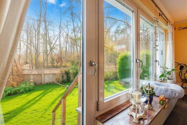 Forest view - (AI generated)