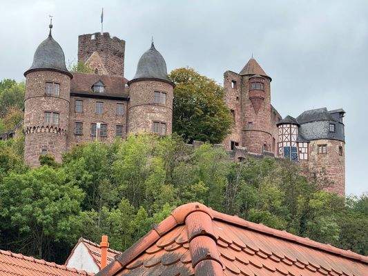Burg Blick