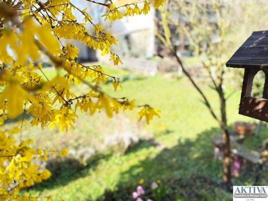  Impressionen des Gartens