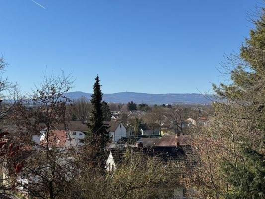 Feldbergblick vom Wohnzimmer ...