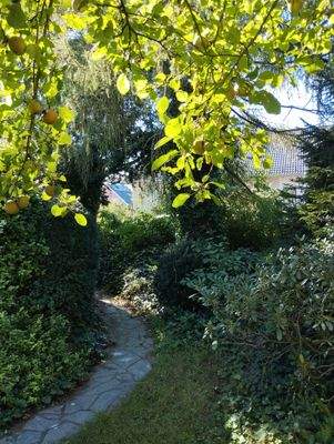 Gartendurchgang