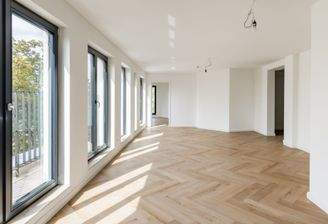 Wohn-/Ess-/Kochbereich