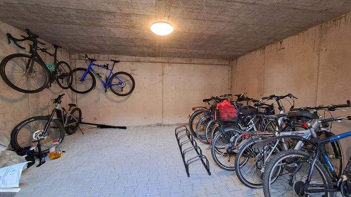 WhatsApp Image 2025-12-18 at 13.59.42