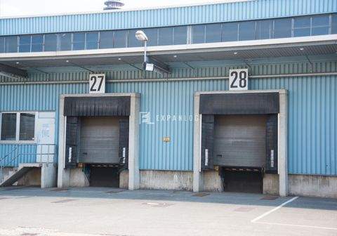 Hagen Halle, Hagen Hallenfläche