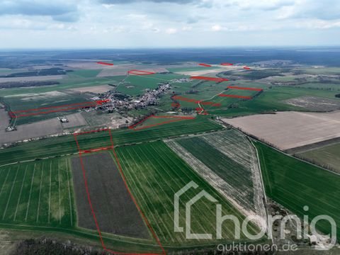 Möckern Bauernhöfe, Landwirtschaft, Möckern Forstwirtschaft
