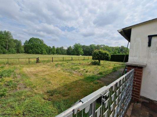 Außenanlage (2).jpg